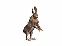 跳来跳去跳兔子软盘耳朵