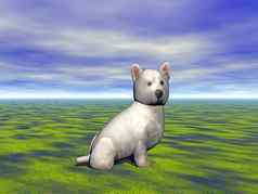小白色狗坐在绿色夏天草地