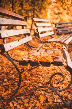 空板凳上秋天公园散落红色的黄色的干叶子金秋天概念放松的地方反射沉思