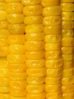 桩黄色的玉米特写镜头视图煮熟的甜蜜的玉米特写镜头视图玉米种子安排模式视图
