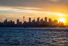 背光天际线悉尼中央商务区湾日落
