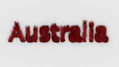 澳大利亚红色的词火祈祷澳大利亚排版设计森林火灾轮廓野生动物袋鼠考拉鸟插图渲染大陆灾难危险生态