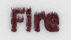 火红色的词孤立的白色背景渲染插图现实的舌头火焰燃烧皮毛毛皮消防队员标志设计模板火