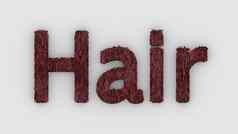 头发词红色的白色背景渲染毛茸茸的信发型概念头发扩展色板设计理发师理发师绅士理发师商店标志头发的护理概念头发染料