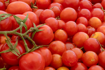 小<strong>大红</strong>色的樱桃西红柿背景自然意大利产品意大利面酱汁