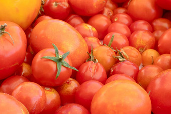 小大红色的樱桃西红柿背景自然意大利产品意大利面酱汁