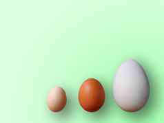鸡蛋大小颜色绿色背景高质量照片鸡鹌鹑鸵鸟鸡蛋彩色的鸡蛋复活节
