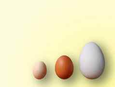 鸡蛋大小颜色黄色的背景高质量照片鸡鹌鹑鸵鸟鸡蛋彩色的鸡蛋复活节
