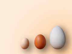 鸡蛋大小颜色橙色背景高质量照片鸡鹌鹑鸵鸟鸡蛋彩色的鸡蛋复活节