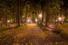 晚上秋天公园下降叶子人行道上长椅