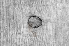 灰色的木背景结构结特写镜头自然古老的纹理木模式