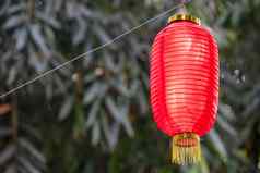红色的中国人灯笼挂竹子树