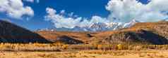 风景优美的全景低角视图谷完整的金树雪山山峰北chuyskiy脊背景美丽的蓝色的天空背景阿尔泰山西伯利亚俄罗斯