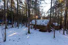 原始的自然泽亚储备木冬天小屋站泰加林雪地里