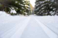 雪运行跟踪冬天森林体育运动