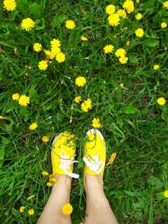 黄色的运动鞋草黄色的花图片电话走