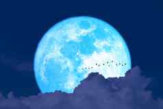 超级收获蓝色的月亮轮廓鸟飞行黑暗克罗