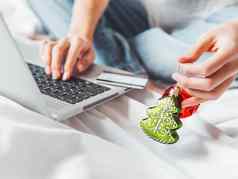 女人移动PC支付在线订单信贷卡装饰