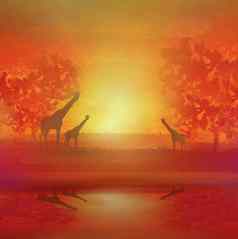 插图野生长颈鹿非洲稀树大草原