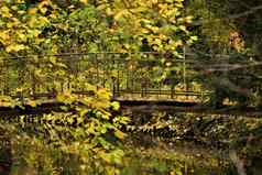 小桥公园包围树秋天