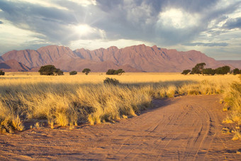 越野吉普车污垢跟踪索苏斯夫莱纳米比亚沙漠景观