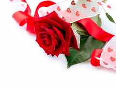 情人节礼物玫瑰花丝带孤立的白色