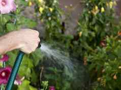 浇水花园