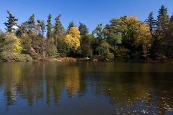 美丽的秋天景<strong>观色</strong>彩斑斓的树池塘
