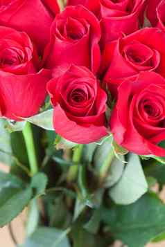 背景美丽的花束红色的玫瑰