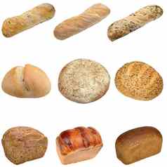 类型面包孤立的白色背景