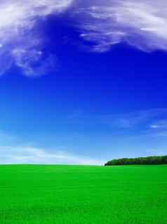 夏天景观蓝色的天空绿色场