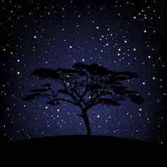 树布满星星的晚上