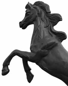 青铜雕像马孤立的白色