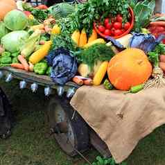 集蔬菜农村市场
