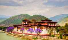 造物主dzong