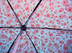 湿伞
