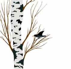 燕八哥桦木画向量插图