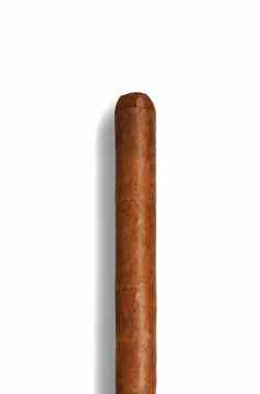 长优雅的棕色（的）雪茄