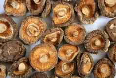 香菇可怕的蘑菇素食者食物