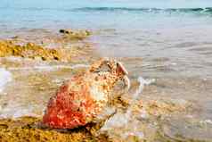 双耳瓶罗马海洋污染地中海