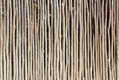 坚持白色木树干栅栏热带玛雅墙