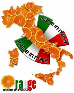 橙色使意大利
