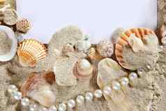 复制空间夏天沙子海滩贝壳珍珠空白
