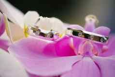 婚礼环粉红色的兰花