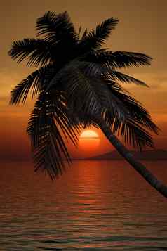 棕榈树日落
