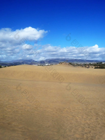 景观视图Maspalomas沙丘