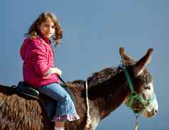驴骡子孩子女孩骑快乐
