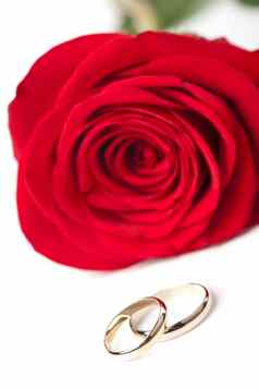 黄金婚礼环红色的玫瑰孤立的