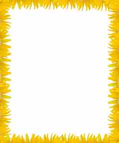 黄色的花框架白色空间背景