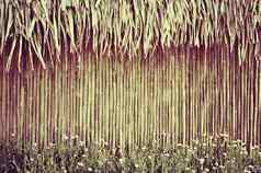 竹子栅栏花